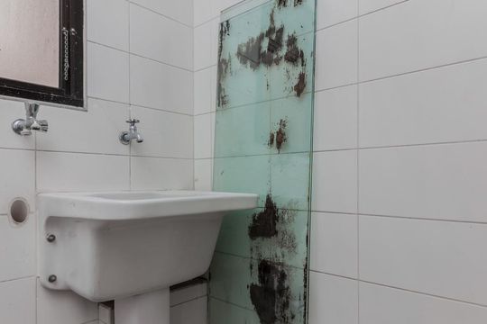 Apartamento à venda, com 350 m², 4 quartos e 4 vagas — Área de serviço