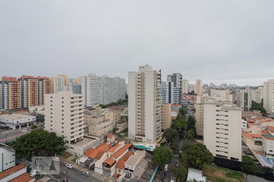 Apartamento à venda com 4 quartos, varanda, academia e churrasqueira. Animais de estimação são permitidos. — Vista Cobertura/Piscina