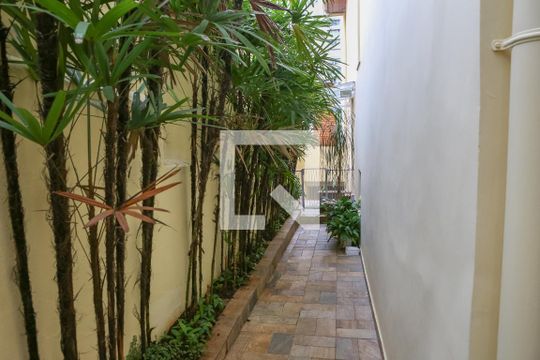 Comprar casa mobiliada em Perdizes com 3 quartos, varanda e aceita animais. — Área de Serviço e Quintal