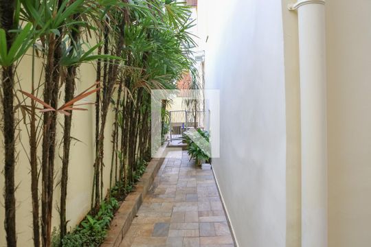 Comprar casa mobiliada em Perdizes com 3 quartos, varanda e aceita animais. — Área de Serviço e Quintal