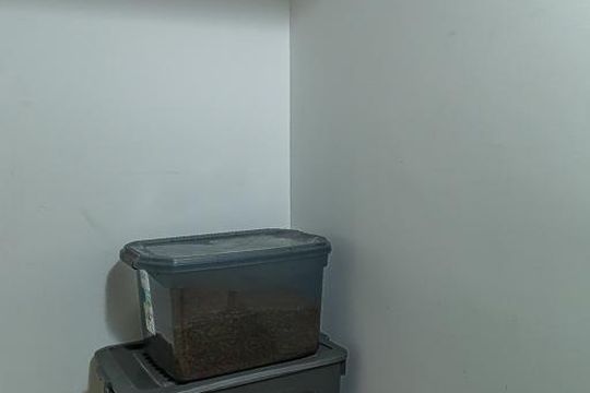 Apartamento com 3 quartos, 2 suítes e varanda gourmet. Ideal para compra e perfeito para animais de estimação. — Cozinha - Despensa