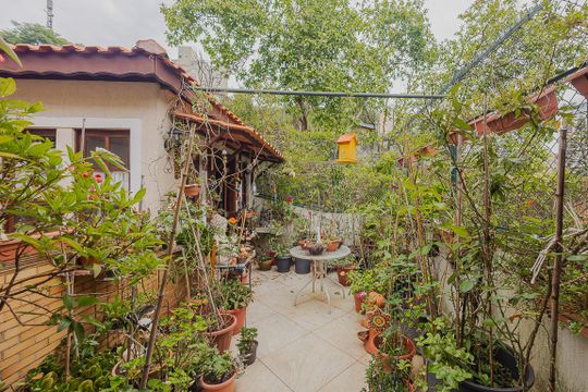 Comprar casa com 3 quartos, jardim e permite animais. — Jardim