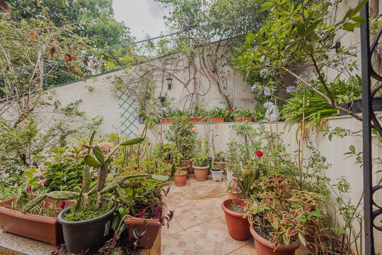 Comprar casa com 3 quartos, jardim e permite animais. — Jardim