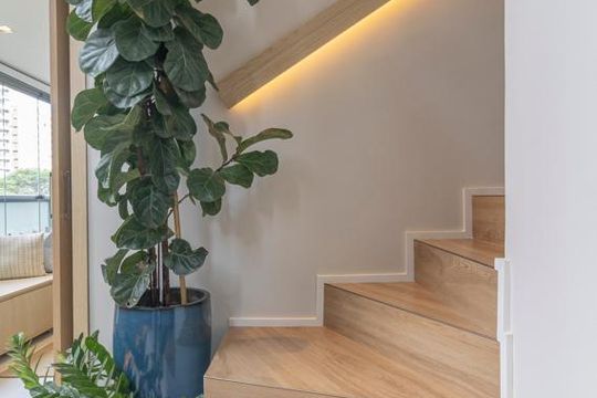 Comprar apartamento mobiliado em Indianópolis com 2 quartos e piscina. Aceitam animais. — Escada