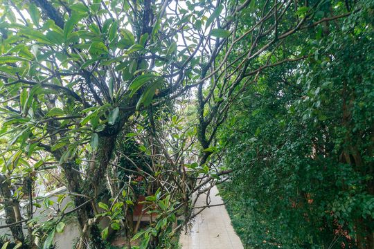 Comprar casa com 3 suítes e 3 quartos. — foto 27