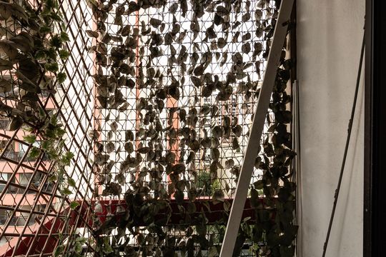 Compra apartamento em Pompeia, 3 quartos, 1 suíte, varanda, aceita pets. — Suíte