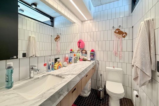 Comprar apartamento mobiliado com 4 quartos, academia no condomínio e aceita pets. — Banheiro Social