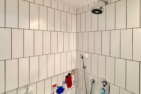 Comprar apartamento mobiliado com 4 quartos, academia no condomínio e aceita pets. — Banheiro Social