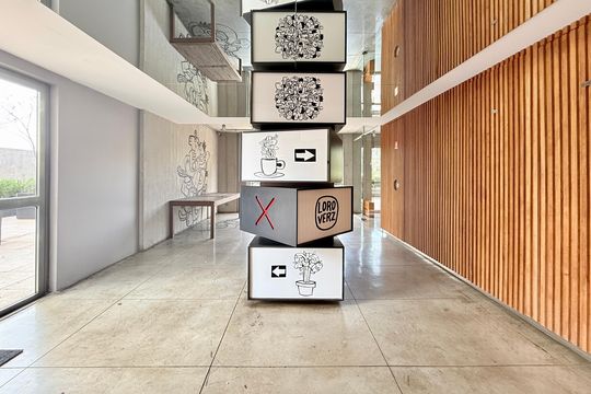 Comprar apartamento mobiliado com 4 quartos, academia no condomínio e aceita pets. — Hall Social Bloco