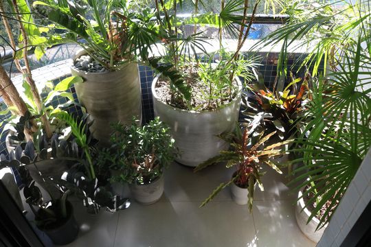 Venda: apartamento com 3 quartos, varanda e aceita pets. — Quarto 2