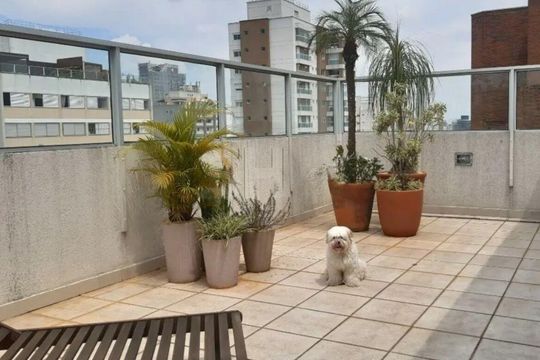 Apartamento à venda, com 209 m², 3 quartos e 3 vagas — foto 18